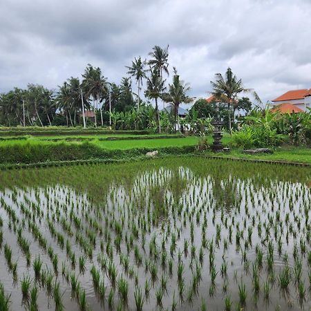 Villa Lanus Ubud Extérieur photo