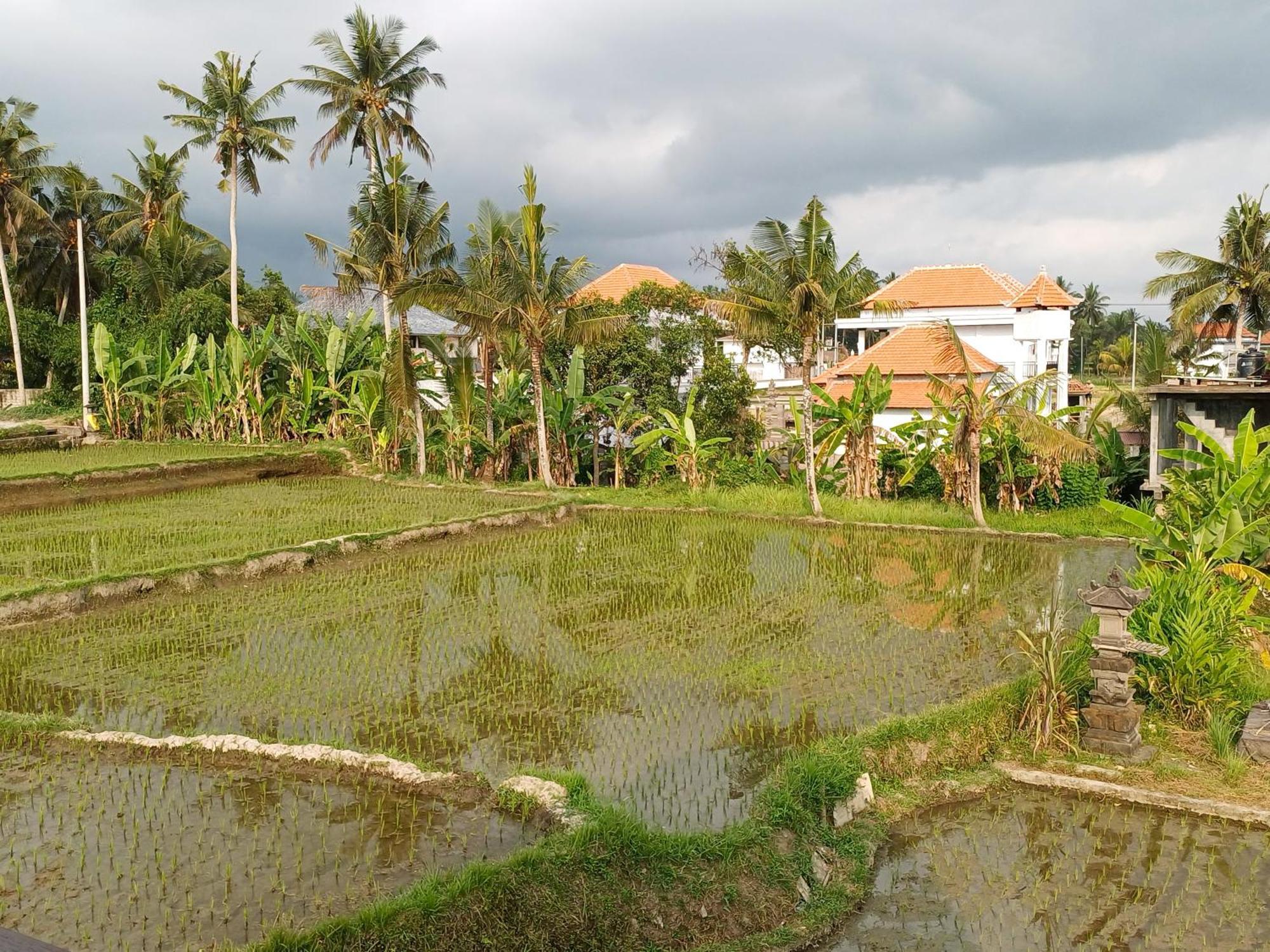 Villa Lanus Ubud Extérieur photo