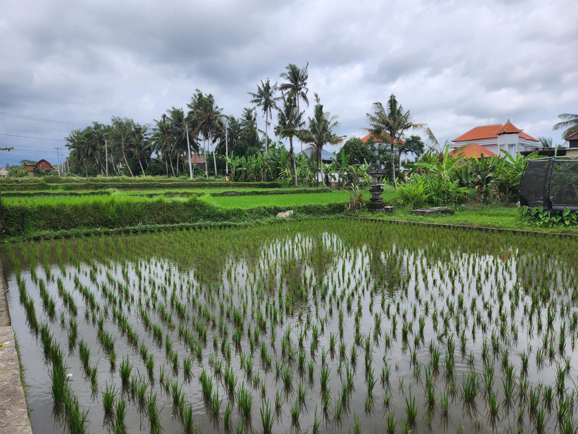 Villa Lanus Ubud Extérieur photo